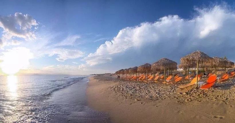 Fotos del hotel Plaza Beach Hotel:  12