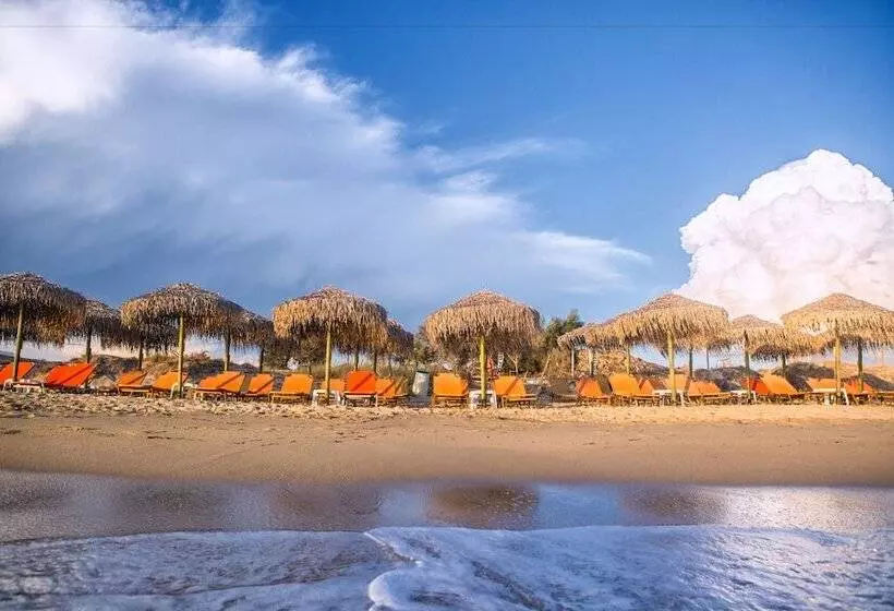 Fotos del hotel Plaza Beach Hotel:  17