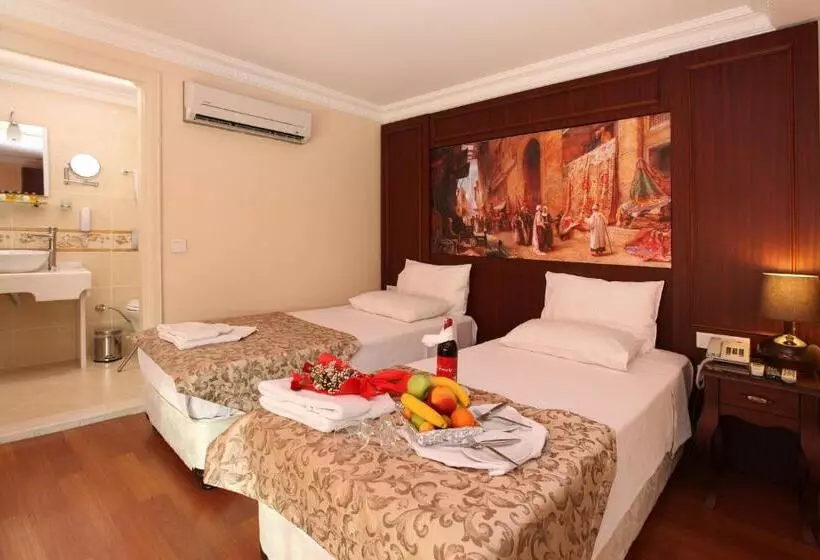 Fotos del hotel Sirkeci Park:  5