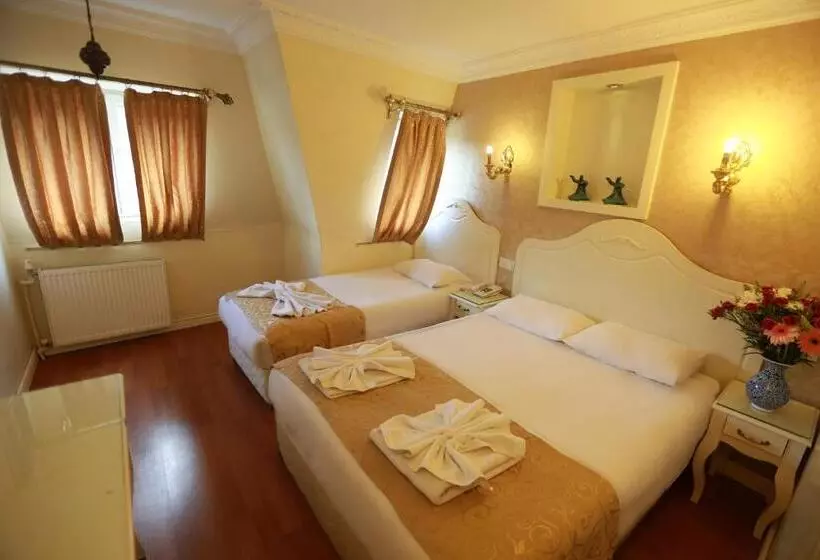 Fotos del hotel Sirkeci Park:  9