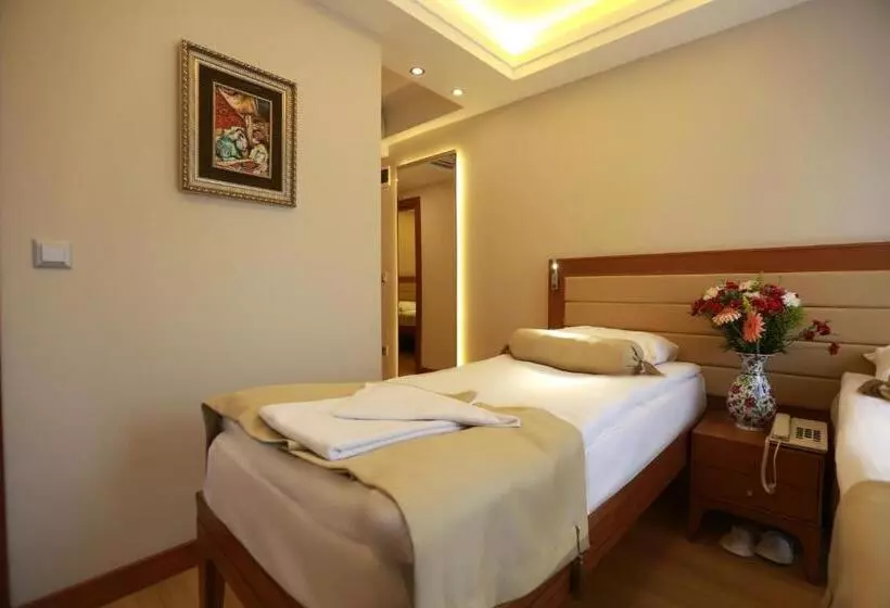 Fotos del hotel Sirkeci Park:  13