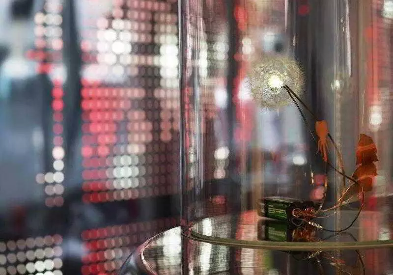 Fotos del hotel W Paris  Opéra:  17