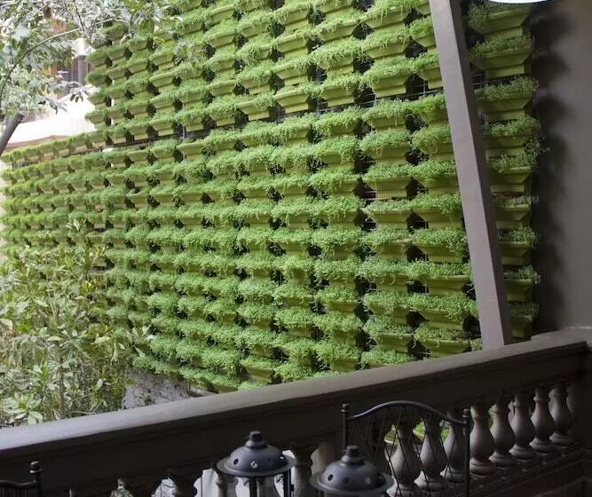 Fotos del hotel Casa Bueras Boutique:  22