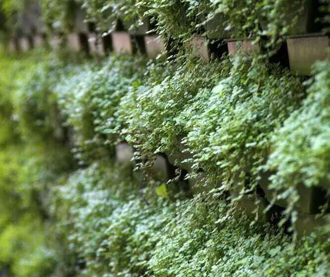 Fotos del hotel Casa Bueras Boutique:  8