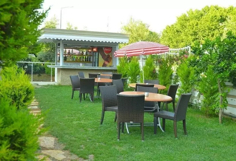 Fotos del hotel Dickmann Elite:  3