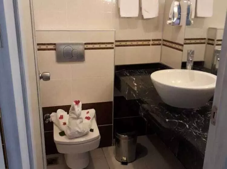 Fotos del hotel Dickmann Elite:  5