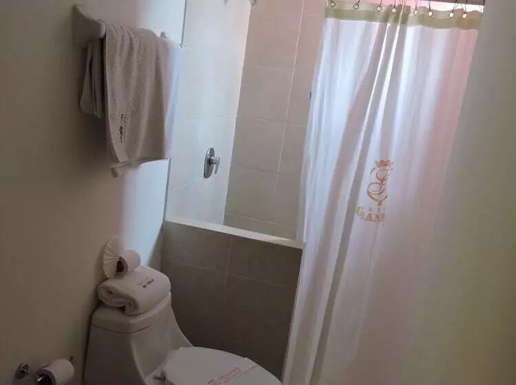 Fotos del hotel Hotel Granada:  17