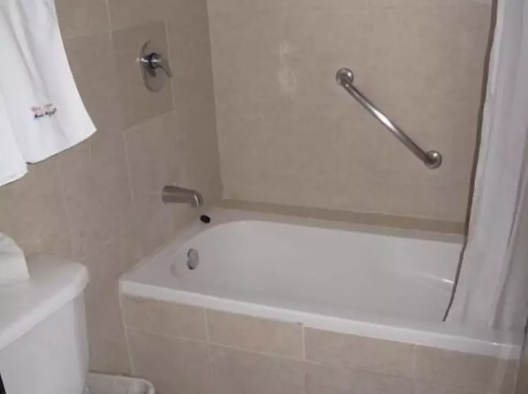 Fotos del hotel Hotel Granada:  7