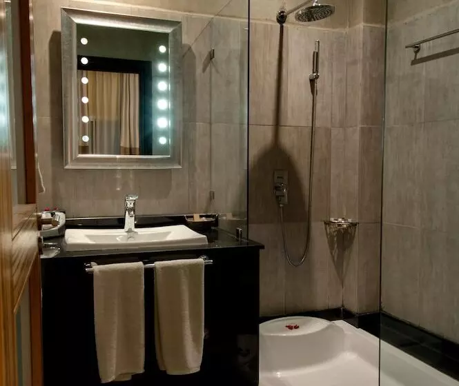 Fotos del hotel Park Suites Hotel & Spa:  8