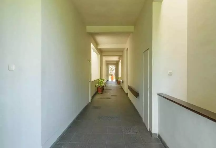 Fotos del hotel Kokonut Suites:  7