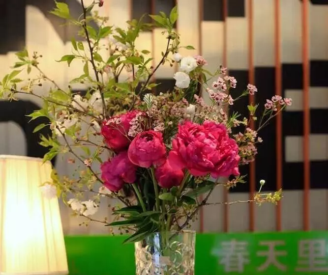 Fotos del hotel Spring Time:  17