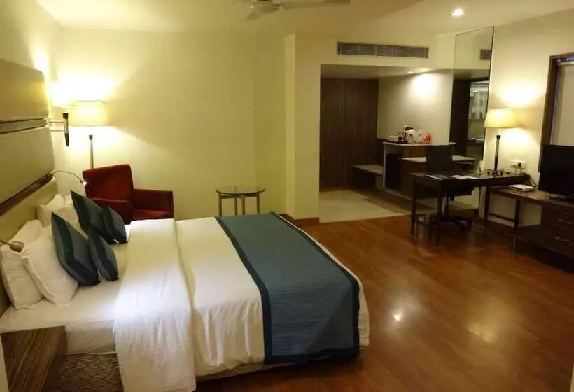 Fotos del hotel Minerva Grand:  22