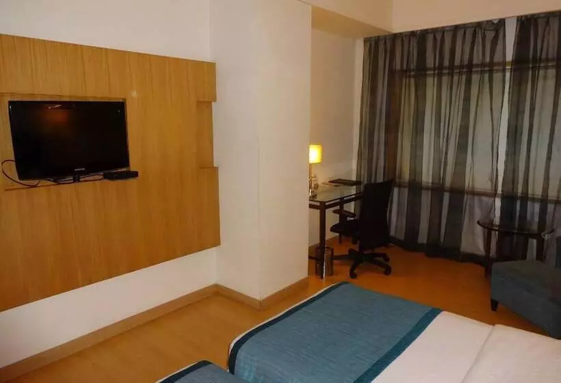 Fotos del hotel Minerva Grand:  2