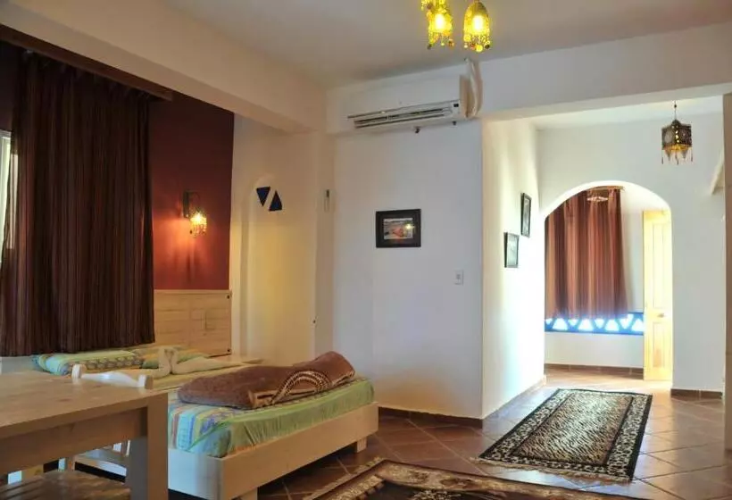 Fotos del hotel Dahab Divers:  24