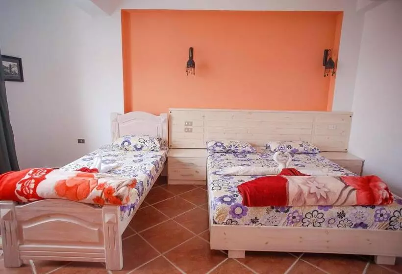 Fotos del hotel Dahab Divers:  25