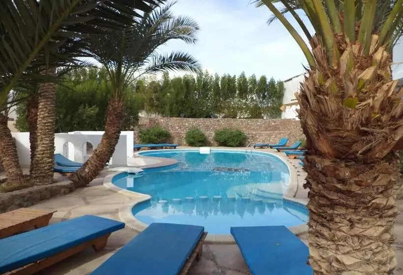 Fotos del hotel Dahab Divers:  12