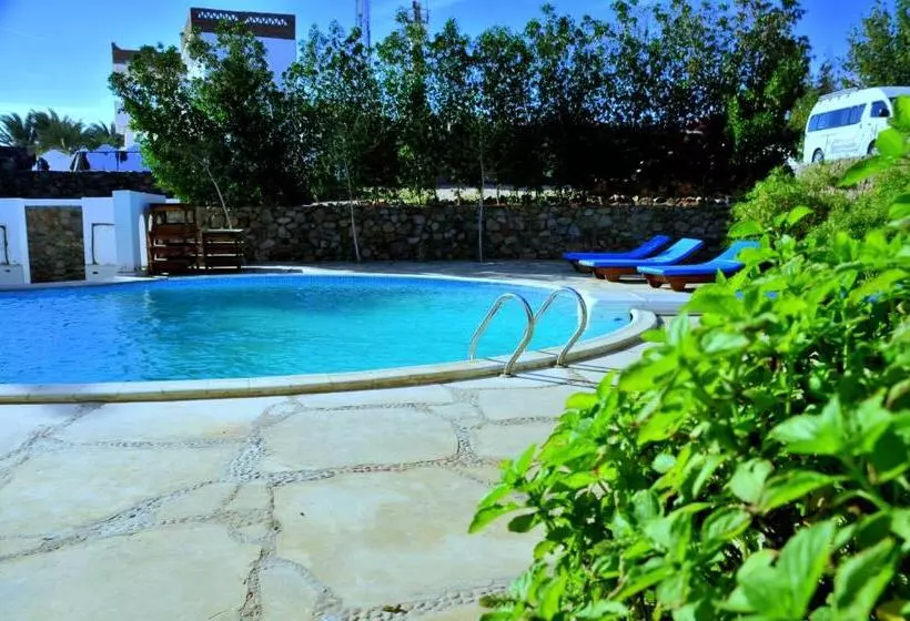 Fotos del hotel Dahab Divers:  10