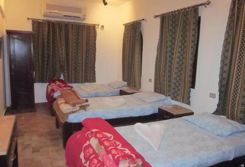 Fotos del hotel Dahab Divers:  13