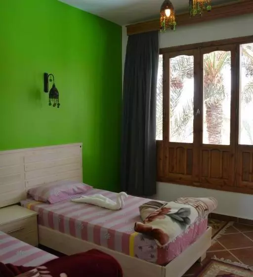 Fotos del hotel Dahab Divers:  16