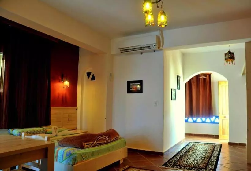 Fotos del hotel Dahab Divers:  9