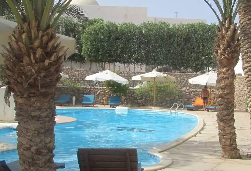 Fotos del hotel Dahab Divers:  2