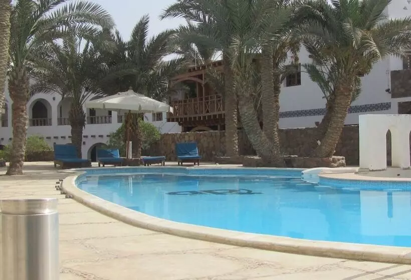 Fotos del hotel Dahab Divers:  14