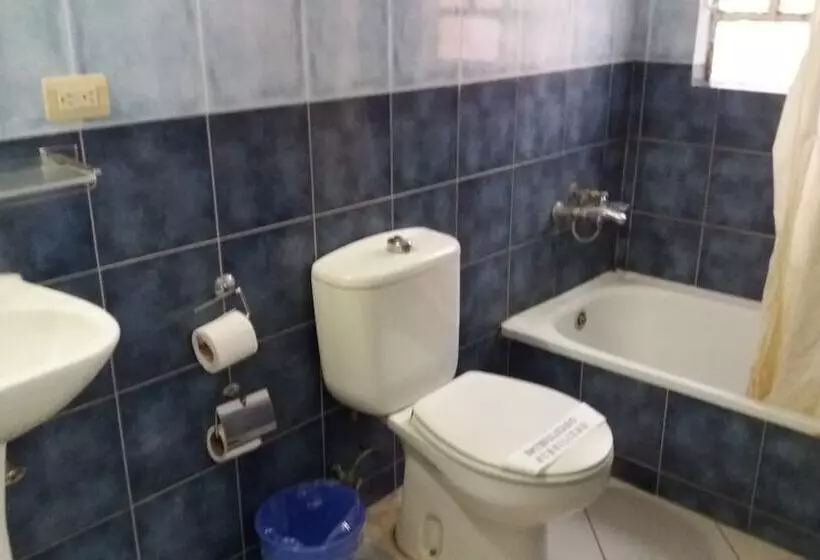 Fotos del hotel Hotel De Talavera:  14