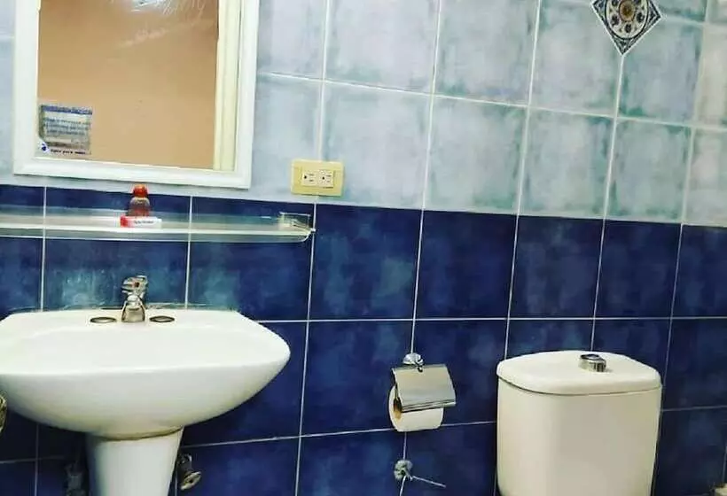 Fotos del hotel Hotel De Talavera:  12