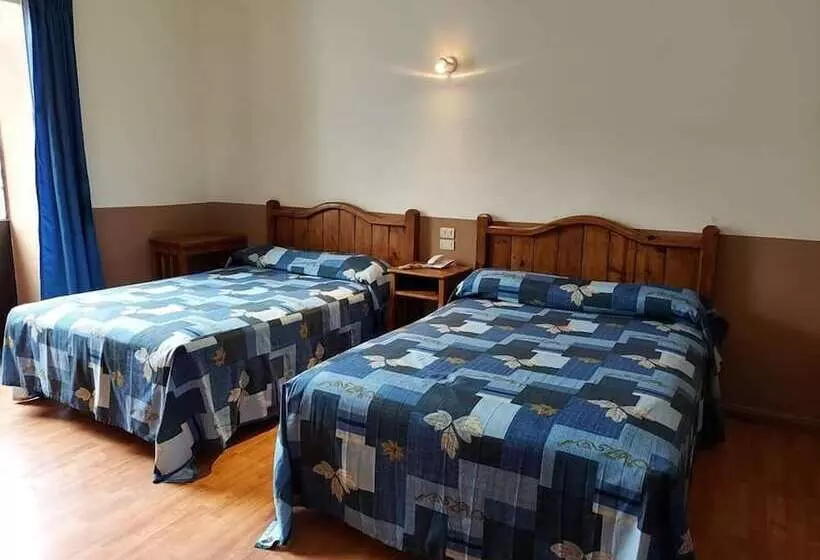 Fotos del hotel Hotel De Talavera:  2