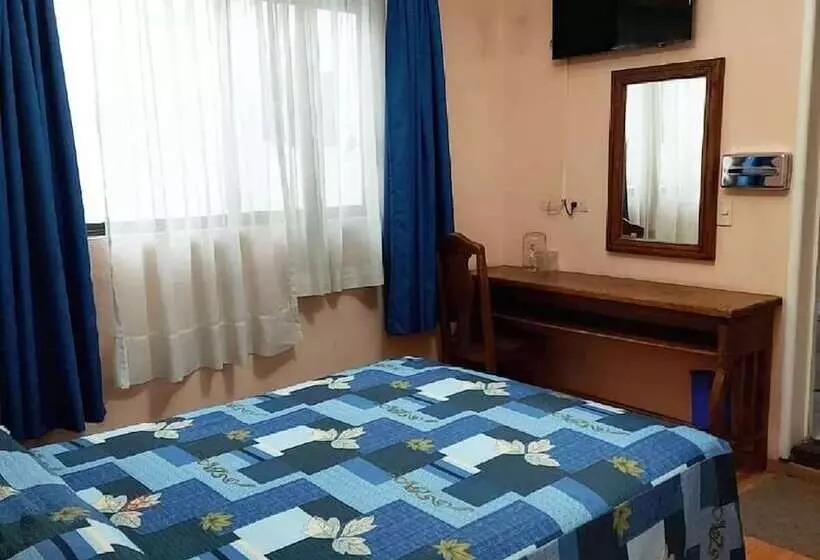 Fotos del hotel Hotel De Talavera:  21