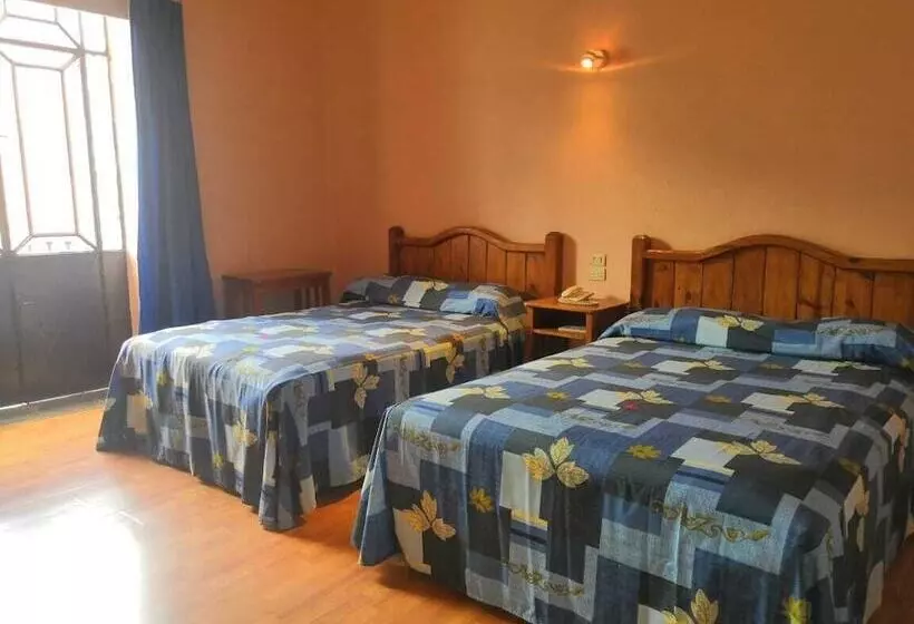 Fotos del hotel Hotel De Talavera:  18