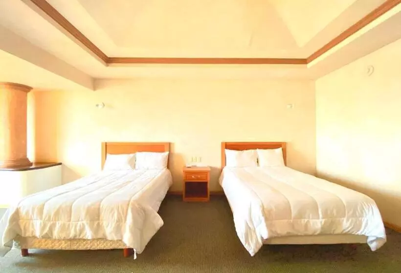 Fotos del hotel Florencia:  7