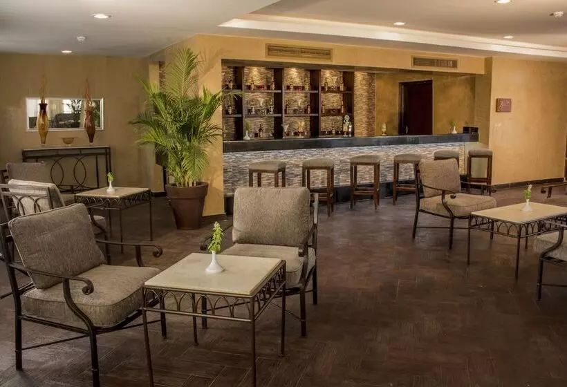 Fotos del hotel Solymar Naama Bay:  8