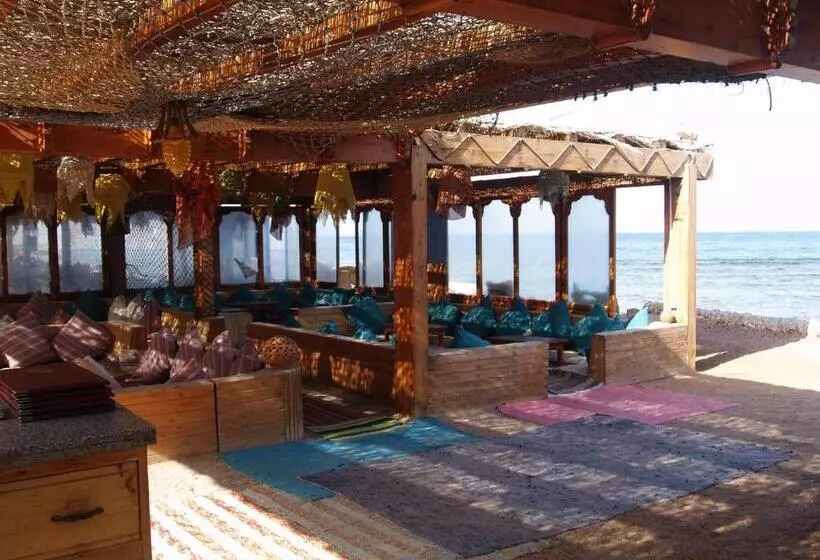 Fotos del hotel Star Of Dahab:  15