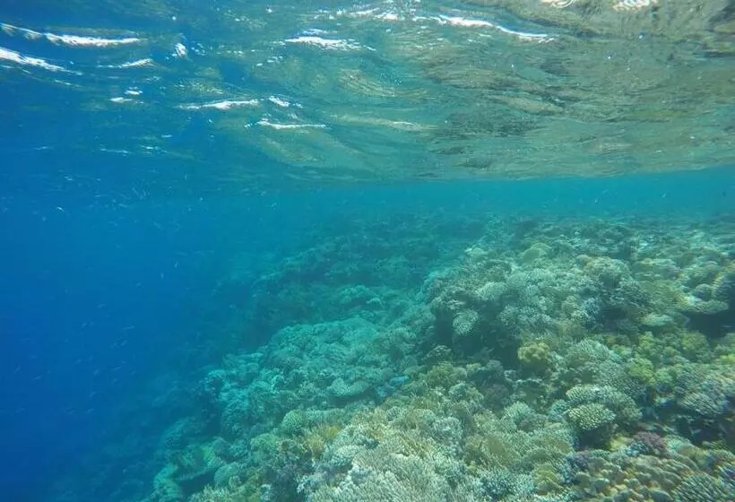 Fotos del hotel Star Of Dahab:  22