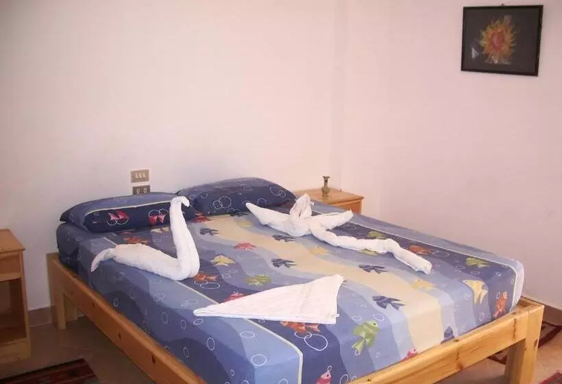 Fotos del hotel Star Of Dahab:  23