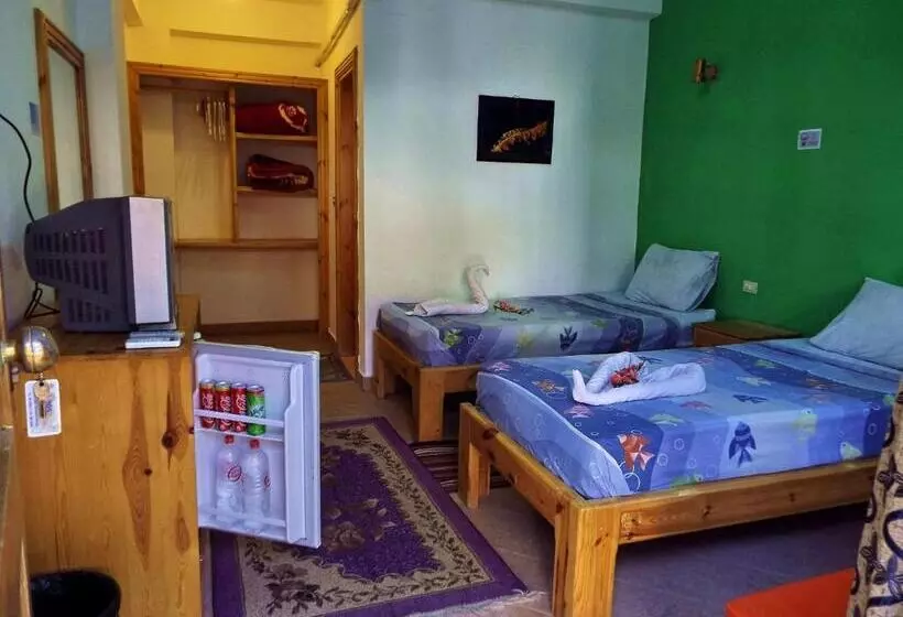 Fotos del hotel Star Of Dahab:  4