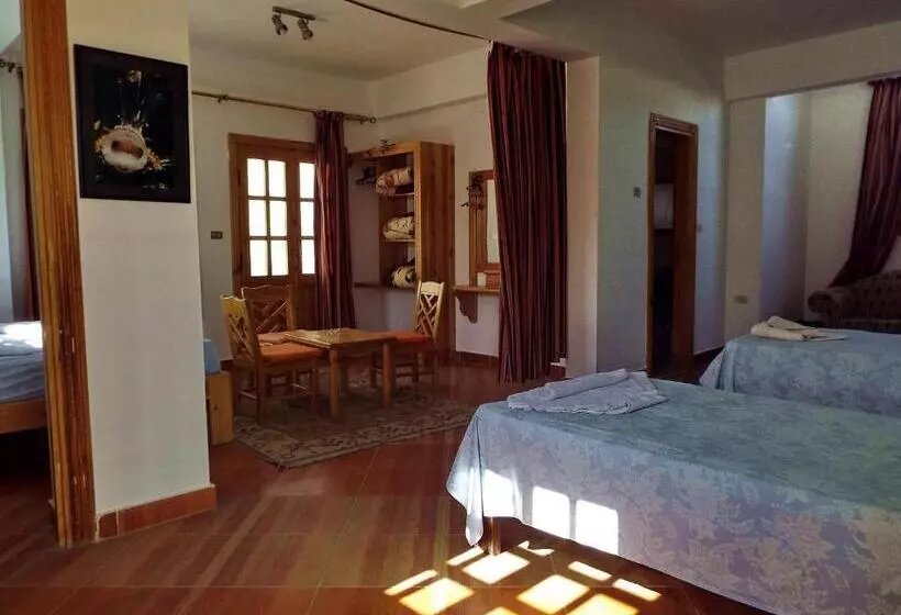 Fotos del hotel Star Of Dahab:  21