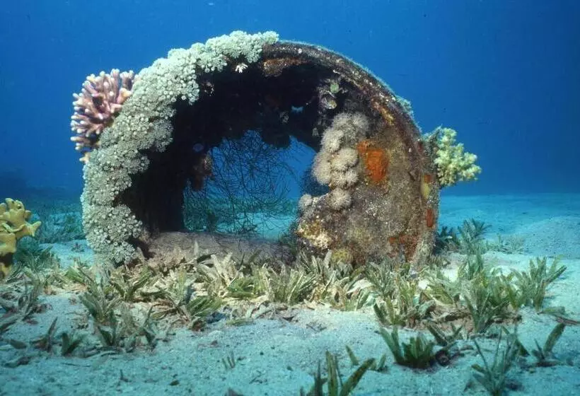 Fotos del hotel Star Of Dahab:  16