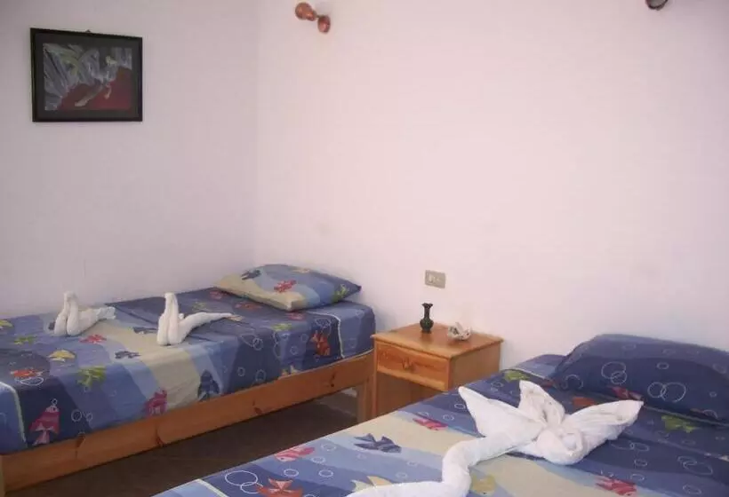 Fotos del hotel Star Of Dahab:  19