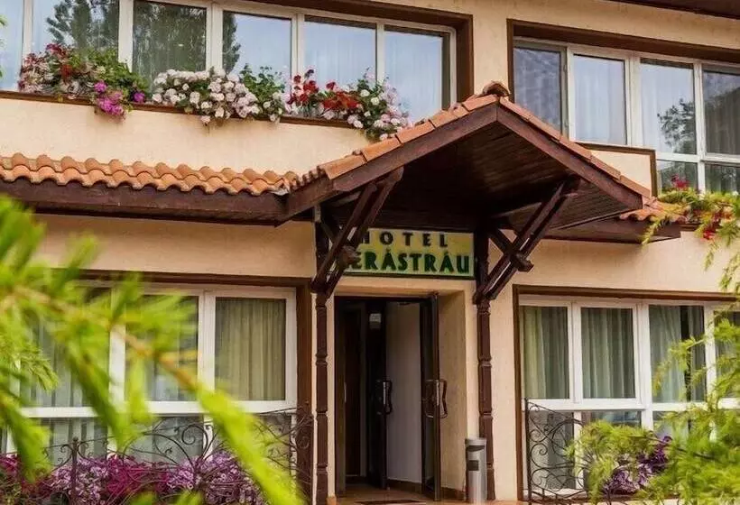 Fotos del hotel Herastrau:  15