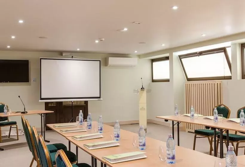 Fotos del hotel Herastrau:  6