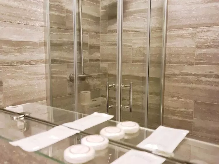 Fotos del hotel The Bridge:  4