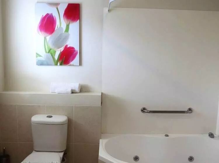 Fotos del hotel Asure Ascot Motor Inn:  12