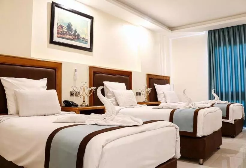 Fotos del hotel Raed Hotel Suites:  20