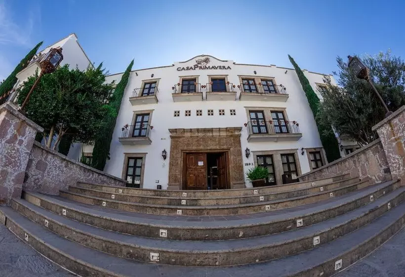 Fotos del hotel Casa Primavera Boutique & Spa:  5