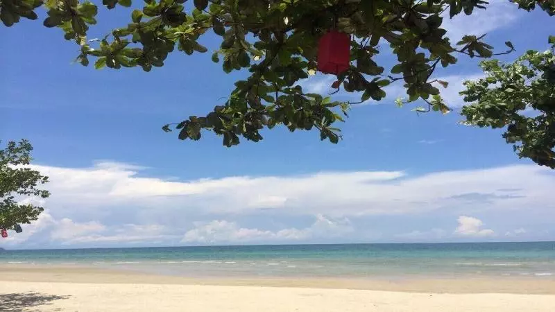 Fotos del hotel Cookies:  20