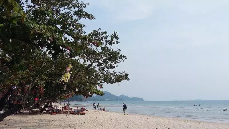 Fotos del hotel Cookies:  22