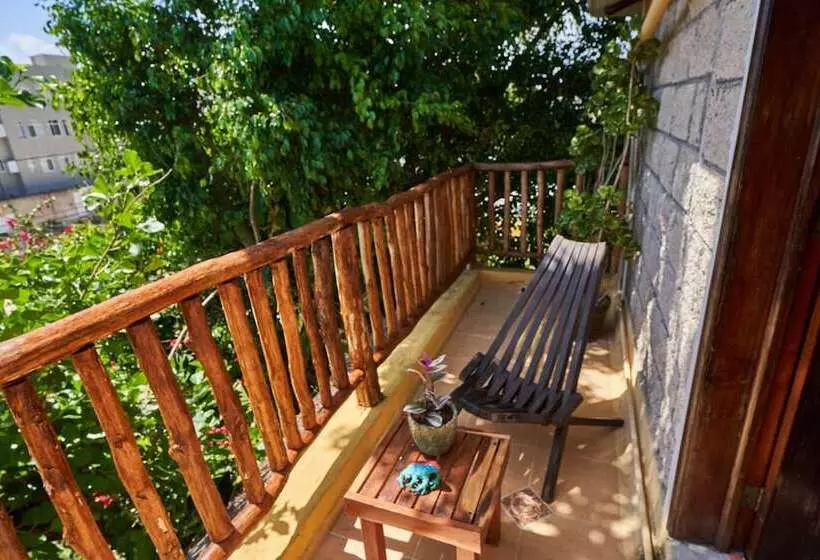 Fotos del hotel Maison Tulum:  4