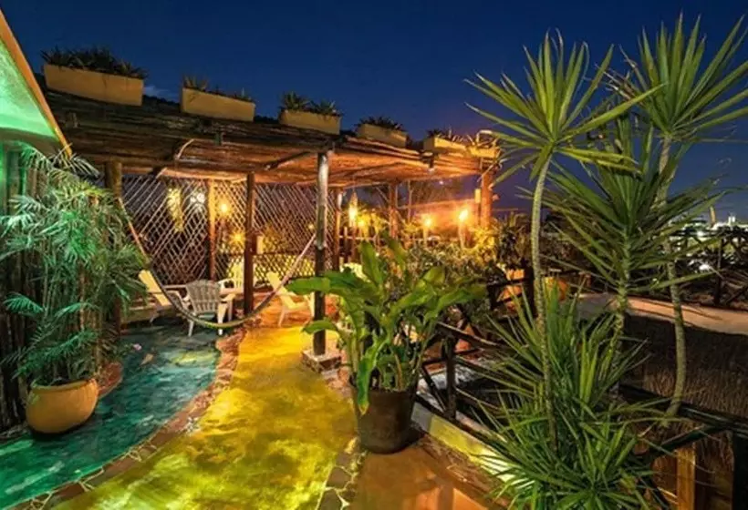 Fotos del hotel Maison Tulum:  2